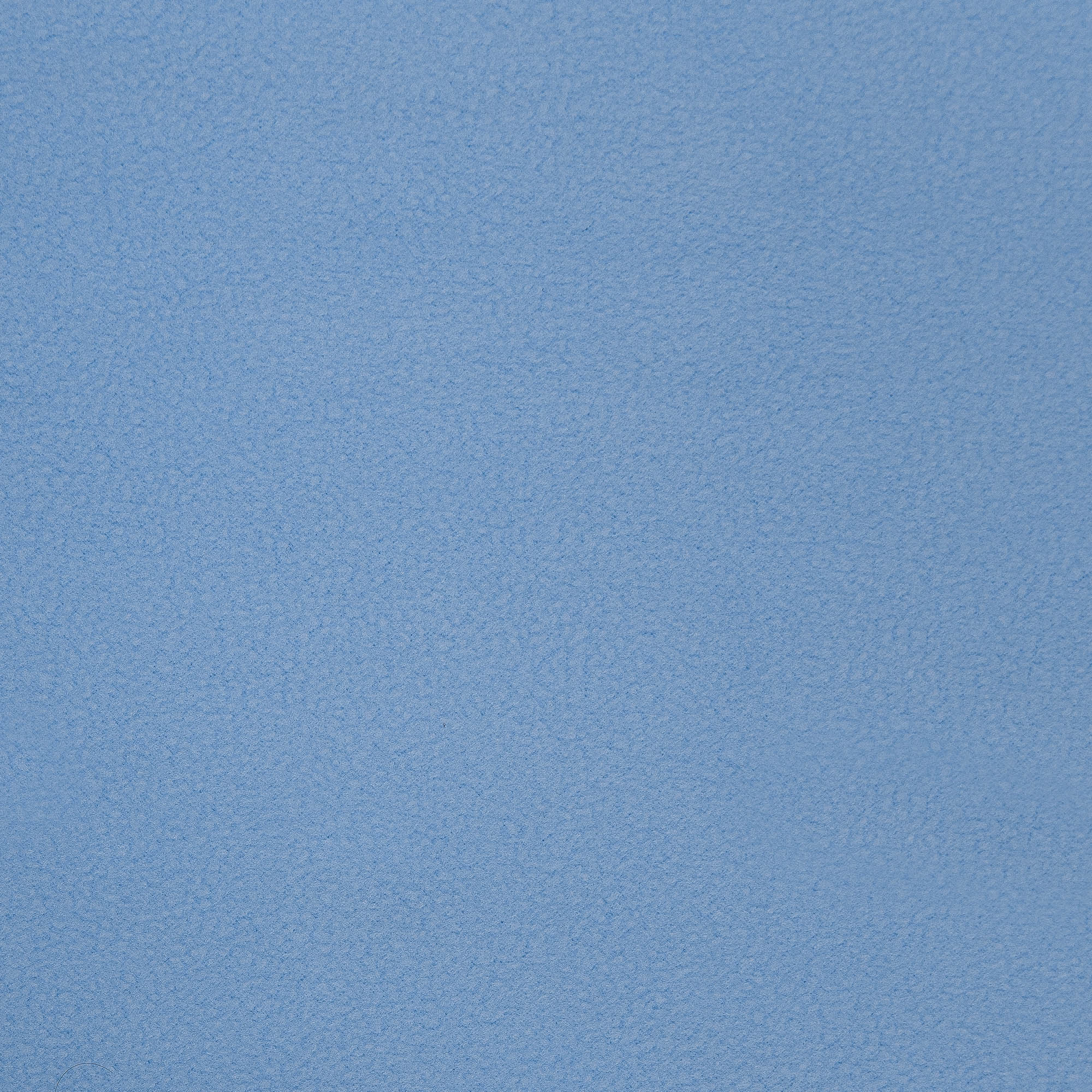 картинка Ткань Capriccio NZ 144F-100D-09/165 180gm Fleece от магазина Одежда+