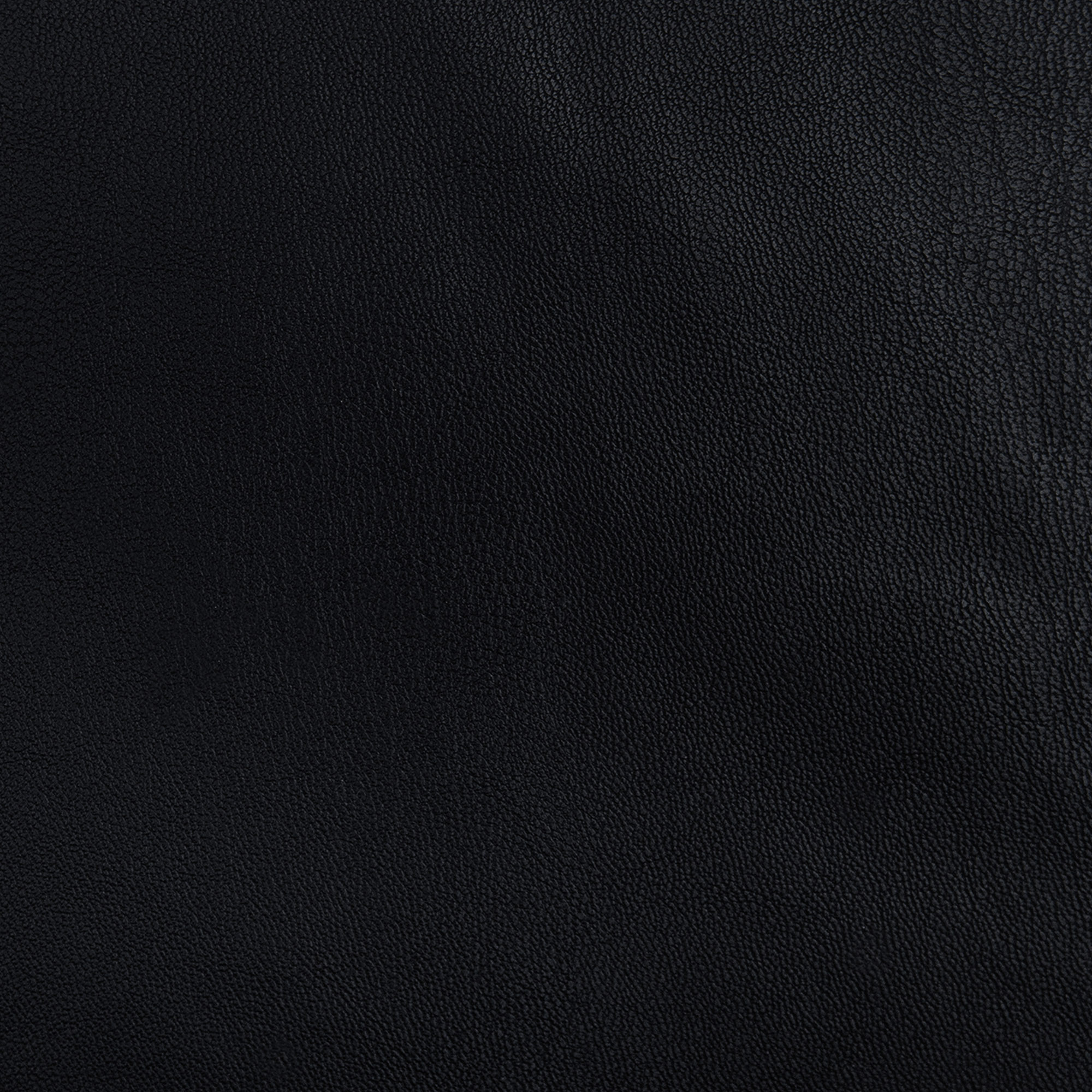 картинка Ткань Capriccio FN 30291-5-01/140 210gr K кожа стрейч от магазина Одежда+