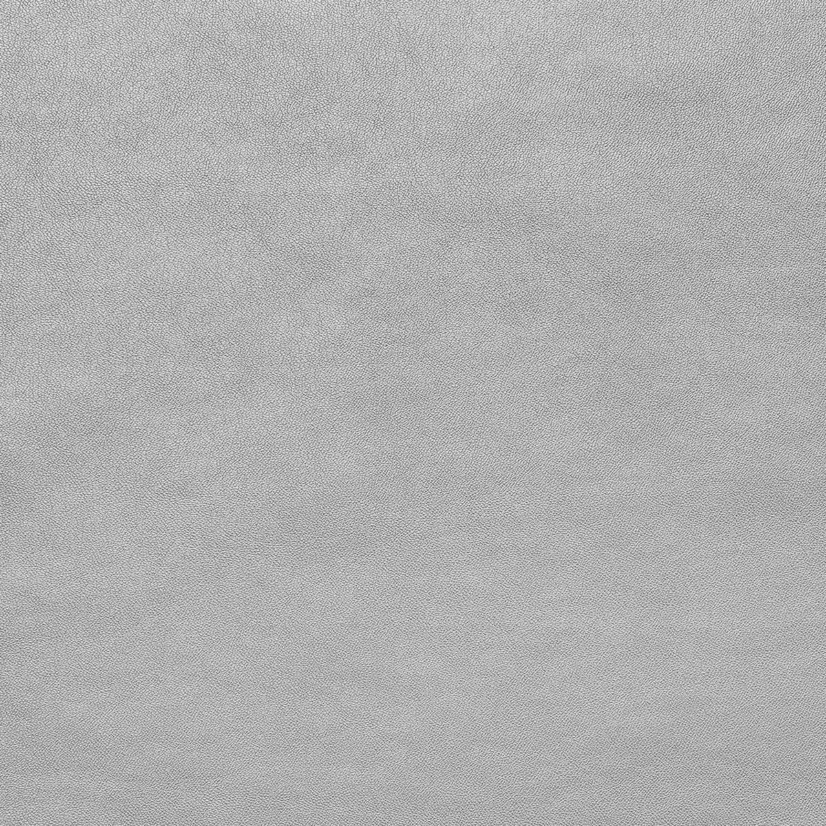 картинка Ткань Capriccio HX 17-1-76A/140 240gr K кожа металик от магазина Одежда+