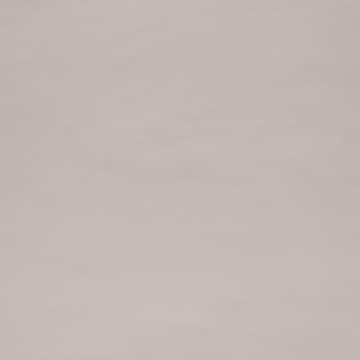 картинка Ткань Capriccio HX 17-1-07/145 250gr K кожа стрейч от магазина Одежда+