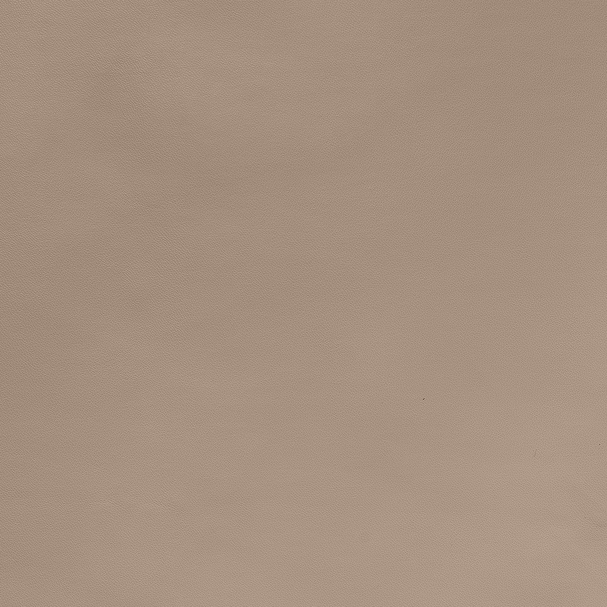 картинка Ткань Capriccio HX 17-1-17/145 230gr K кожа стрейч от магазина Одежда+