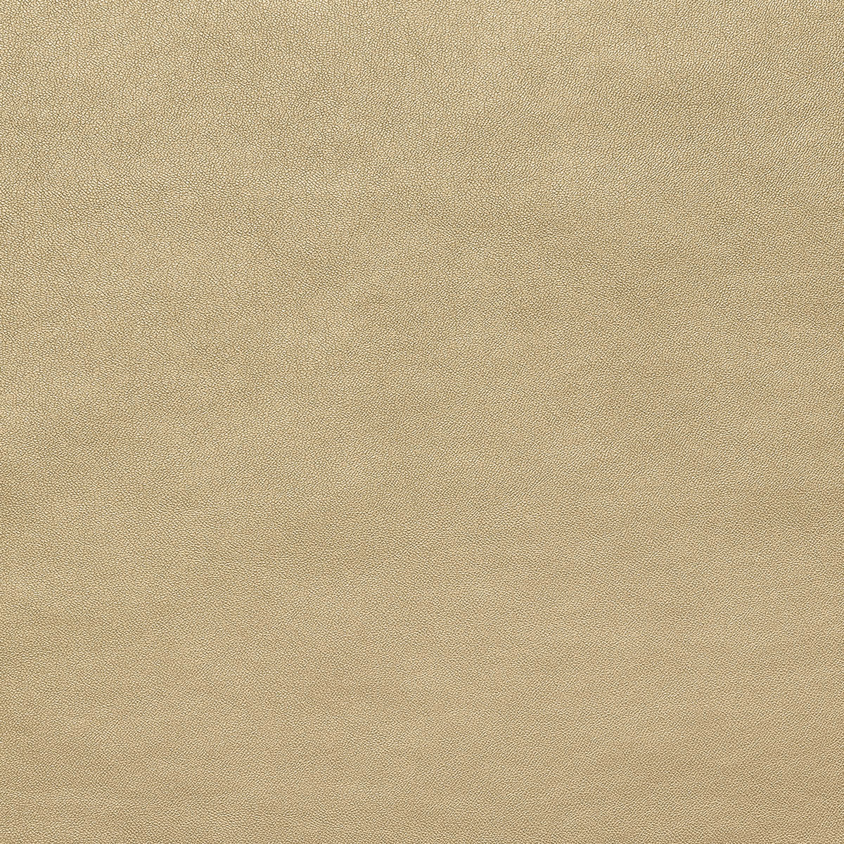 картинка Ткань Capriccio HX 17-1-78A/140 250gr K кожа металик от магазина Одежда+